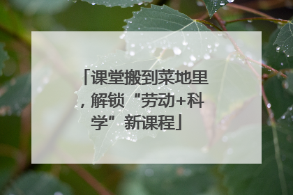 课堂搬到菜地里，解锁“劳动+科学”新课程
