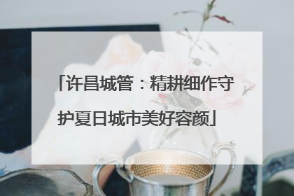 许昌城管：精耕细作守护夏日城市美好容颜