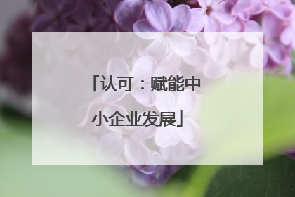 认可：赋能中小企业发展