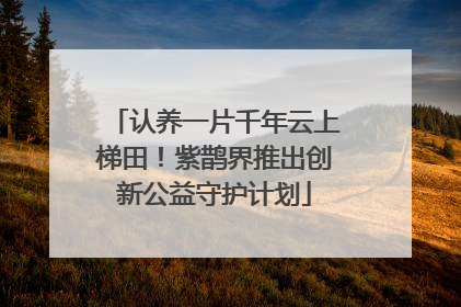 认养一片千年云上梯田！紫鹊界推出创新公益守护计划
