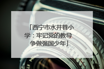 西宁市水井巷小学：牢记党的教导 争做强国少年