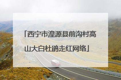 西宁市湟源县前沟村高山大白杜鹃走红网络