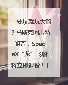 要玩就玩大的？马斯克回击特朗普：SpaceX“龙”飞船将立即退役！
