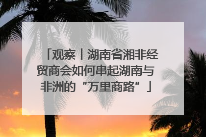 观察丨湖南省湘非经贸商会如何串起湖南与非洲的“万里商路”