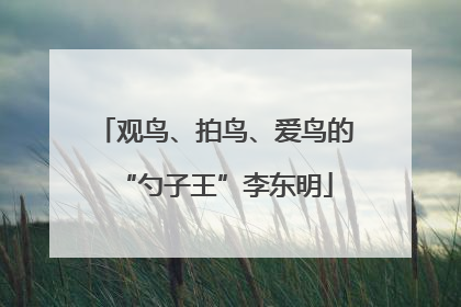 观鸟、拍鸟、爱鸟的“勺子王”李东明