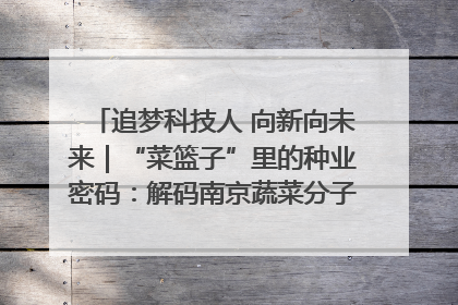 追梦科技人 向新向未来｜“菜篮子”里的种业密码：解码南京蔬菜分子育种的创新之路
