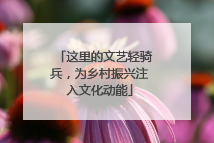 这里的文艺轻骑兵，为乡村振兴注入文化动能
