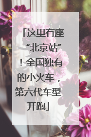 这里有座“北京站”！全国独有的小火车，第六代车型开跑