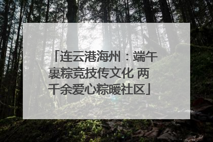 连云港海州：端午裹粽竞技传文化 两千余爱心粽暖社区