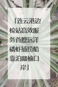 连云港边检站高效服务首艘远洋磷虾捕捞船靠泊赣榆口岸