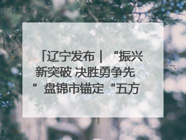 辽宁发布｜“振兴新突破 决胜勇争先”盘锦市锚定“五方面工作”力争全年地区生产总值增长5.5%左右