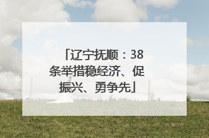 辽宁抚顺：38条举措稳经济、促振兴、勇争先
