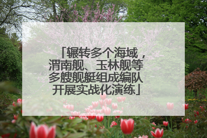 辗转多个海域，渭南舰、玉林舰等多艘舰艇组成编队开展实战化演练