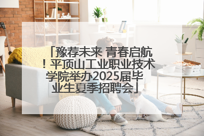 豫荐未来 青春启航！平顶山工业职业技术学院举办2025届毕业生夏季招聘会
