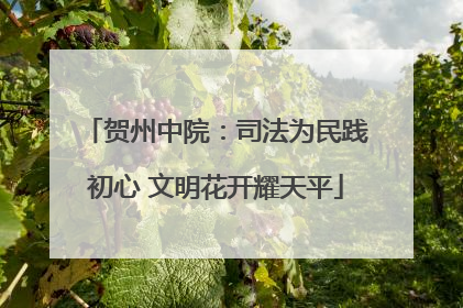 贺州中院：司法为民践初心 文明花开耀天平