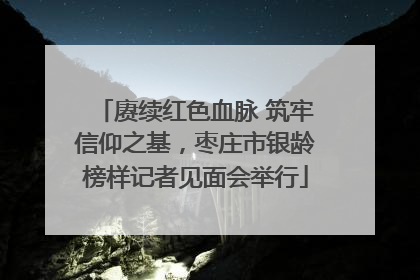 赓续红色血脉 筑牢信仰之基，枣庄市银龄榜样记者见面会举行