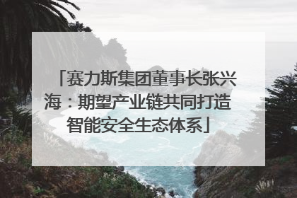 赛力斯集团董事长张兴海：期望产业链共同打造智能安全生态体系