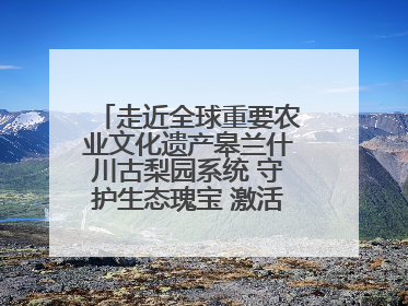 走近全球重要农业文化遗产皋兰什川古梨园系统 守护生态瑰宝 激活发展动能