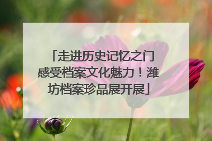 走进历史记忆之门 感受档案文化魅力！潍坊档案珍品展开展