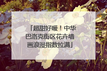 超甜好暖！中华巴洛克街区花卉墙画浪漫指数拉满