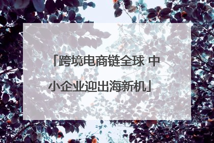 跨境电商链全球 中小企业迎出海新机