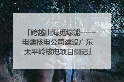 跨越山海觅绿能——电建核电公司建设广东太平岭核电项目侧记