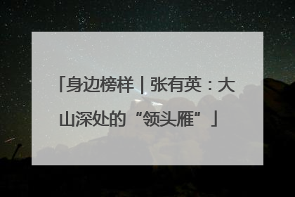 身边榜样｜张有英：大山深处的“领头雁”