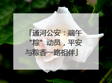 通河公安：端午“粽”动员，平安与粽香一路相伴