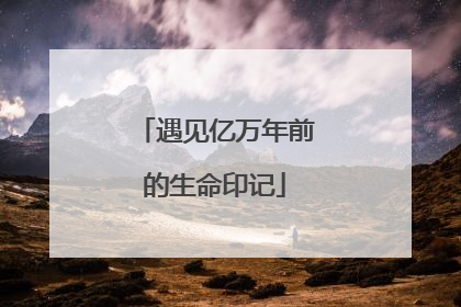 遇见亿万年前的生命印记