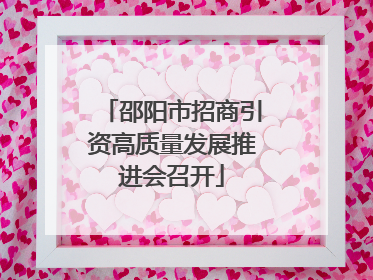 邵阳市招商引资高质量发展推进会召开