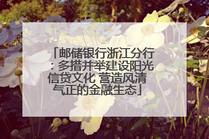 邮储银行浙江分行：多措并举建设阳光信贷文化 营造风清气正的金融生态