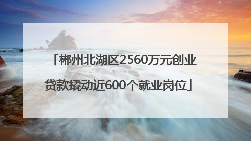 郴州北湖区2560万元创业贷款撬动近600个就业岗位