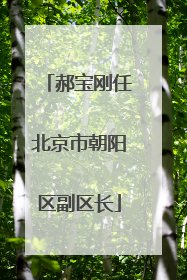 郝宝刚任北京市朝阳区副区长