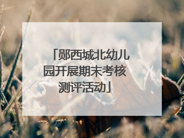 郧西城北幼儿园开展期末考核测评活动