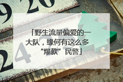 野生流量偏爱的一大队，缘何有这么多“爆款”民警