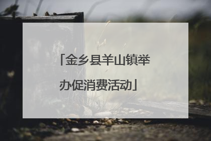 金乡县羊山镇举办促消费活动