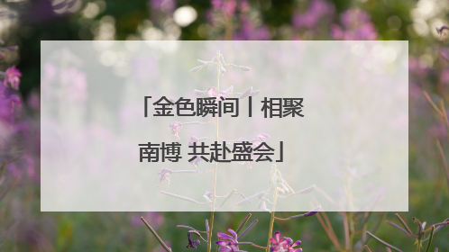金色瞬间丨相聚南博 共赴盛会