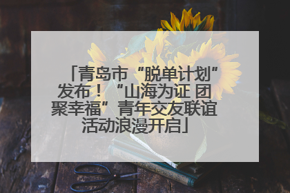青岛市“脱单计划”发布！“山海为证 团聚幸福”青年交友联谊活动浪漫开启
