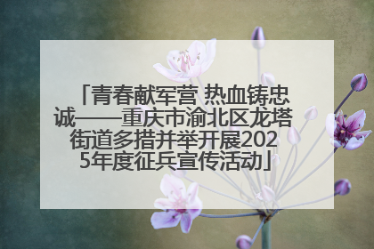 青春献军营 热血铸忠诚——重庆市渝北区龙塔街道多措并举开展2025年度征兵宣传活动