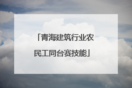青海建筑行业农民工同台赛技能