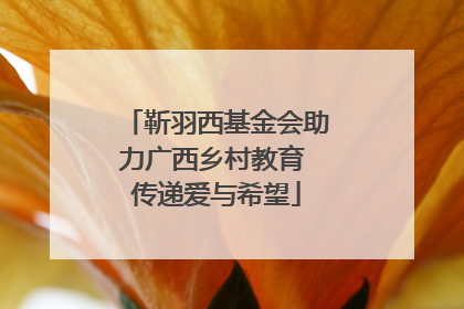 靳羽西基金会助力广西乡村教育 传递爱与希望