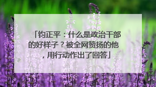 钧正平：什么是政治干部的好样子？被全网赞扬的他，用行动作出了回答