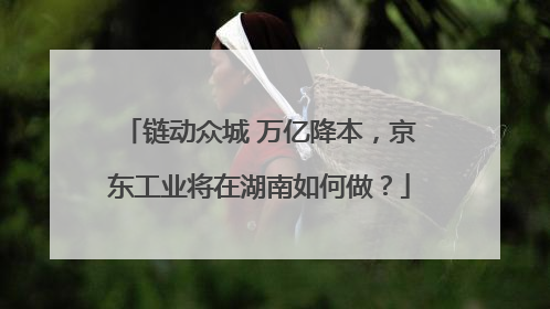 链动众城 万亿降本，京东工业将在湖南如何做？