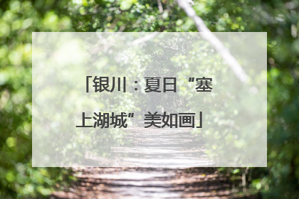 银川：夏日“塞上湖城”美如画
