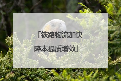 铁路物流加快降本提质增效