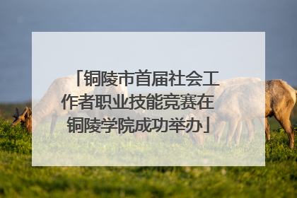 铜陵市首届社会工作者职业技能竞赛在铜陵学院成功举办