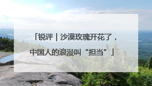 锐评｜沙漠玫瑰开花了，中国人的浪漫叫“担当”