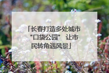 长春打造多处城市“口袋公园” 让市民转角遇风景