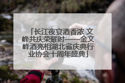 长江夜宴酒香浓 文峰共庆荣耀时——金文峰酒亮相湖北省庆典行业协会十周年盛典