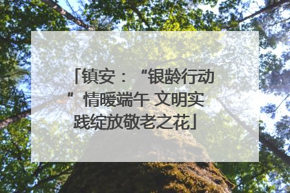 镇安：“银龄行动”情暖端午 文明实践绽放敬老之花